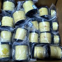 Cordon en fibre d'aramide tressé de 1,5 mm, ignifuge, résistant à la chaleur, 12 brins, sans étirement, pour la pêche, ligne de cerf-volant en Kevlar