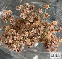 Bouquet de fleurs artificielles Gypsophile en PVC entièrement fourni pour la décoration de mariage