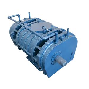Rsr-Serie Positieve Verplaatsing Luchtblazer Gebruikt Voor Biogas Industriële Blower Fabrikanten