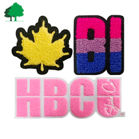 Écussons brodés en chenille PVC écologiques de qualité supérieure avec logo personnalisé pour uniformes scolaires, chapeaux et applications à coudre