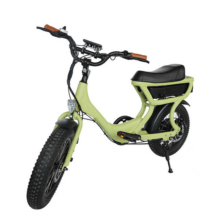 Electric Bike Ebike 250W 36V Children's Electric Bicycle 16 Inch Kids Ebike