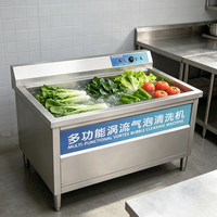 RVS fruit- en groentewasmachine, instelbare wastijd, digitaal display, meerdere programma's, maatwerk