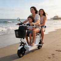 Scooter Eléctrico de Doble Motor de la Mejor Calidad, Scooter Eléctrico de Doble Motor de 350W 36V, Rápido, 30 Km/H, para Desplazamientos Urbanos