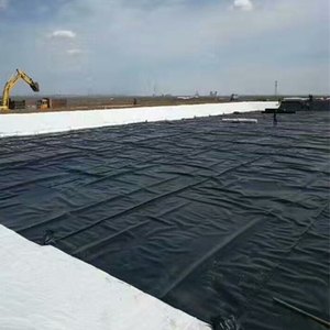 Hdpe ldpe 1 מ "מ 1.5 מ" מ 2 מ "מ לסכר בריכת דגים שרימפס מטמנה ביודיגר geomembrane מודרני - Product Image 1