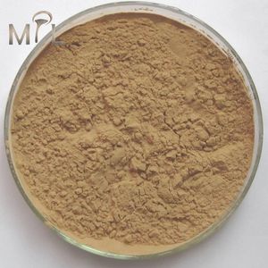 Teh polifenol CAS 84650-60-2 Harga bubuk dengan tingkat kosmetik dapat dimakan EGCG 25KG <span class=keywords><strong>50</strong></span>% 90% 95% 98% - Product Image 3