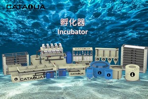 Sản xuất bán buôn nuôi trồng thủy sản thiết bị xử lý nước máy móc cá rô phi Cá trứng lồng ấp dọc lồng ấp - Product Image 6