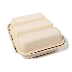 핫 세일 3 칸짜리 타코 플레이트 사탕수수 Bagasse 식품 트레이 뚜껑 퇴비화 타코 포장 상자