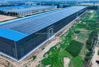 Almacén Prefabricado de Estructura de Acero Ligero de Bajo Costo, Diseño Personalizado de Taller y Nave Industrial con Construcción Metálica