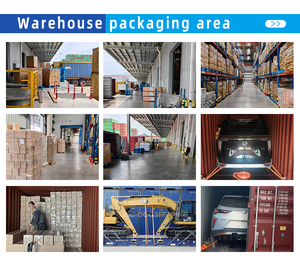 Servicio de Transporte Marítimo de Contenedores Completos (FCL) de China a Sudamérica, 20GP, 40GP, 40HQ, Agente de Carga Profesional con Entrega Rápida DDP Puerta a Puerta - Product Image 4