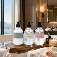 Ensemble de produits de toilette pour hôtel, grande capacité, rechargeable, avec logo personnalisé, pour hôtel, resort, spa, chambre d'hôtes