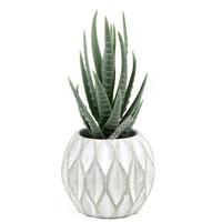 Touche naturelle faux fleur mini artificielle d'aloe vera plante succulente pour décoration de pot