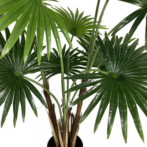 Decoración de interior de plástico, ventilador Artificial, hojas de <span class=keywords><strong>palma</strong></span>, plantas y árbol, Verde, pequeño y grande, 120cm, 4 pies - Product Image 3