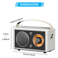 Haut-parleur portable sans fil au design vintage, prise en charge de la carte TF, longue autonomie de la batterie pour le camping, mini haut-parleur