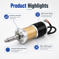 Motor DC Planetary Gear Kustom 66mm 24V 48V Torsi Tinggi Kecepatan Rendah untuk Peralatan Otomasi Produsen OEM ODM