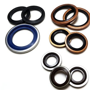 Rondelles de joint combinées en acier inoxydable 316 + caoutchouc FKM, résistantes à la corrosion à haute température, épaisseur de 1 mm, taille en pouces, pour - Product Image 4