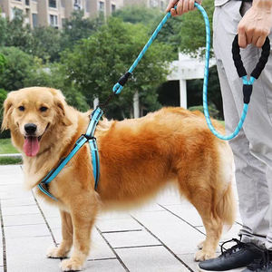 Commercio all'ingrosso durevole guinzaglio per cani di medie dimensioni manico in Neoprene 1.5m personalizzato in Nylon riflettente per animali domestici nastro di piombo prezzo basso - Product Image 4