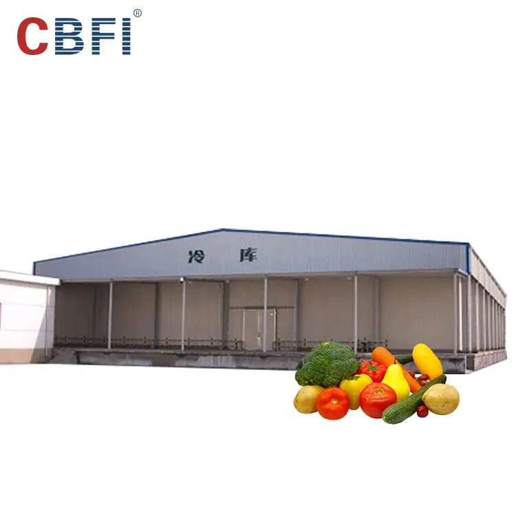 Habitación de refrigeración para alimentos y verduras, gran almacenamiento en frío personalizado de fábrica, 800 toneladas