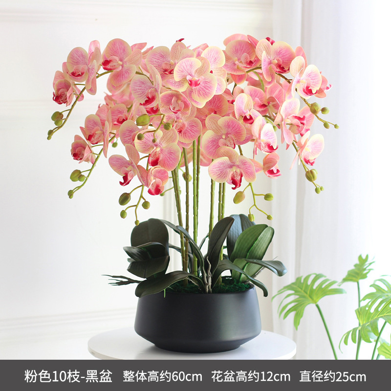 Black basin with pink orchid