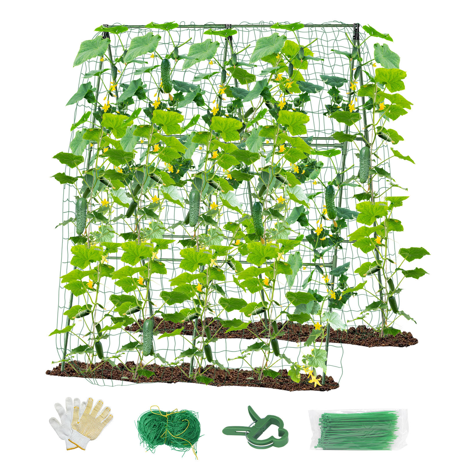 สีเขียว