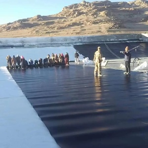 Mật Độ Cao 0.5Mm/1Mm/1.5Mm/2Mm 500 Micron Đen <span class=keywords><strong>HDPE</strong></span> Màng Đất Ao Lót Cho Ngoài Trời Cá Trang Trại Đập Biogas Nuôi Trồng Thủy Sản - Product Image 3