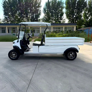 Voiture de golf de luxe certifiée CE, batterie lithium 72V, chariot de golf avec boîte de chargement, 2 places, buggy de golf - Product Image 2