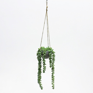 Pianta Artificiale Sospesa di Alta Qualità in Vaso di Plastica, Ecologica e Durevole per Decorazioni Interne ed Esterne, Giardino e Paesaggistica - Product Image 6