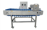 Elektrische uienblokjes snijmachine hoge capaciteit 1000kg/u motor voedselveilige roestvrij staal voor groente- en fruitverwerking