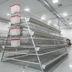 กรงไก่เหล็กชุบสังกะสีแบบ RTL 120 <span class=keywords><strong>ชั้น</strong></span> กรงไก่สำหรับไก่ไข่ โรงเรือนเลี้ยงไก่แบบเคลื่อนย้ายได้ พร้อมกล่องวางไข่ - Product Image 4