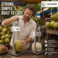 Herramienta Portátil de Acero Inoxidable para Abrir Cocos, Perforador de Frutas Profesional para Bares de Playa y Eventos al Aire Libre