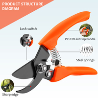 Cisailles de jardin en acier inoxydable de qualité industrielle, sécateurs manuels pour branches de fruits, outils de taille d'arbres, cisailles de taille, outil tranchant