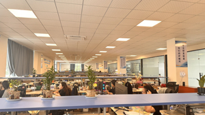 Bộ điều khiển sạc năng lượng mặt trời <span class=keywords><strong>MPPT</strong></span> CE ELEJOY EMD600W công suất 600W, 12/24V, điều chỉnh được, màn hình LCD 99%, 40A, loại <span class=keywords><strong>MPPT</strong></span> thông minh, kiểu Buck - Product Image 6