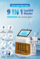 Machine d'hydrodermabrasion portable de haute qualité pour soins du visage – Vente en gros