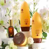 Sérum et huile capillaires bio à l'argan et au gingembre, anti-frisottis, protection thermique, hydratant, réparateur pour cheveux abîmés, lissage