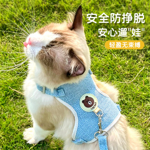 Correa para gatos, cuerda para pasear gatos, arnés tipo chaleco para perros, arnés para perros pequeños para evitar escapadas, artículos para mascotas. - Product Image 1
