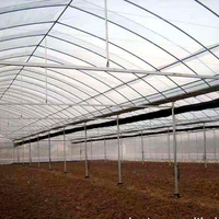 Grande structure de tunnel de serre en acier galvanisé à chaud multi-travées, longueur personnalisable pour l'agriculture hydroponique de tomates