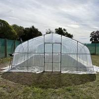 Serre tunnel économique à simple travée en film PO pour jardin, système hydroponique pour la culture de fraises, tomates et fleurs