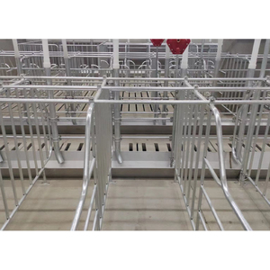 Nouvelle cage de gestation HENGYIN HY-AFS pour porcs avec porte arrière en matériau galvanisé à chaud, conçue pour truies, longue durée de vie - Product Image 1
