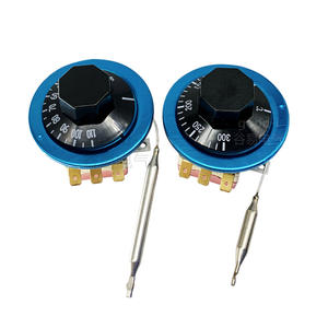 Grounded 300C/110C Adjustable Temperature Controller <b>Electric</b> <b>Water</b> <b>Heaters</b> with Liquid Expansion TDS Switch - Product Image 1