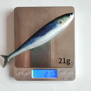 Señuelo de Pesca YJAquahunter, Cebo Suave con Cola de Horquilla, 124mm 158mm 185mm, Señuelo de Pesca de Atún, Cebo de Simulación para Aguas Medias - Product Image 4