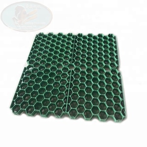PVC nhựa lưới trường đua được lát bằng vật liệu Đấu Trường cát - Product Image 6