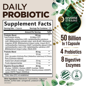 Cápsulas Probióticas Diarias, Prebióticos Totalmente Naturales y Enzimas Digestivas, Suplemento Dietético para el Bienestar Digestivo Diario - Product Image 4