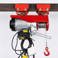 Mini palan électrique PA200 PA300 PA500, petit palan à câble métallique 220V, treuil de levage électrique portable