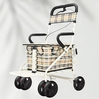 Chariot de courses pliable pour personnes âgées avec siège, grand sac de rangement, déambulateur léger pour seniors, idéal pour les courses en extérieur