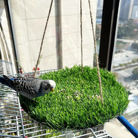 Hamac en herbe pour animaux de compagnie Furrivo de taille moyenne pour perroquets et écureuils/hamster, jouets d'escalade en matériau PP, forme ronde