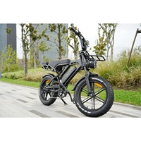 Bicicleta Eléctrica de Montaña Holland Warehouse Zerogo Ebike Fatbike V20 Pro, Bicicleta Eléctrica Personalizable de Playa Fabricada en Holanda