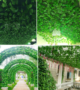 Vente en gros de plantes grimpantes artificielles vertes, reptiles <span class=keywords><strong>grimpant</strong></span> au plafond, plantes décoratives pour la vigne et l'argent, pour l'intérieur - Product Image 5