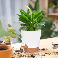 Deepbang – Pots en plastique à arrosage automatique, Pots de fleurs et jardinières modernes, Pot de plantes paresseux, vente en gros