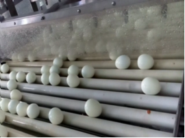 2021热卖自动煮蛋去皮机鸡蛋削皮机 - Product Image 5