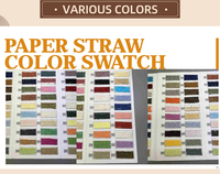 Chapeau de créateur de luxe tendance entièrement personnalisable en papier de couleur unie de haute qualité chapeau de soleil à visière de paille en vrac pour fille