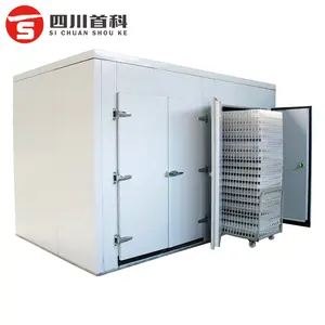 Heat Pump Multifunctional Fruit Dryer Machine Mango Pineapple Dehydrator Fruit Drying Equipment